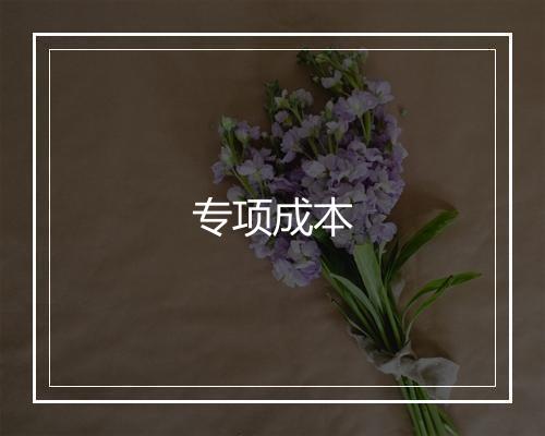 专项成本