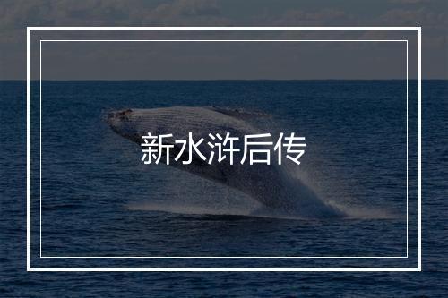 新水浒后传