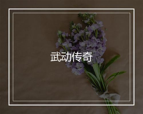 武动传奇