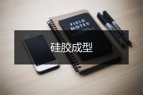 硅胶成型