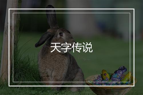 天字传说