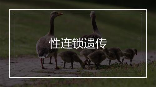 性连锁遗传