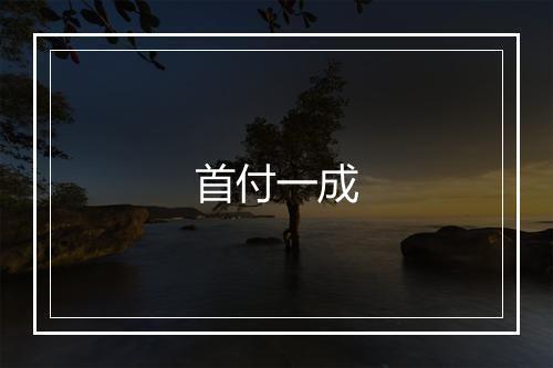 首付一成