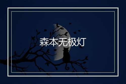 森本无极灯