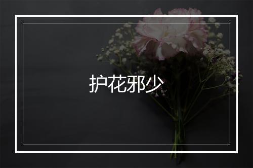 护花邪少