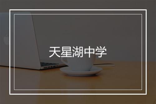 天星湖中学