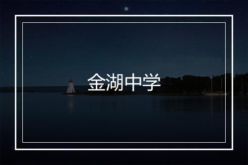 金湖中学