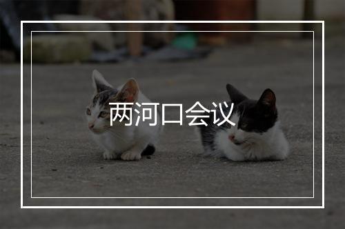 两河口会议