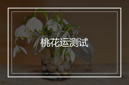 桃花运测试