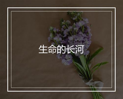 生命的长河