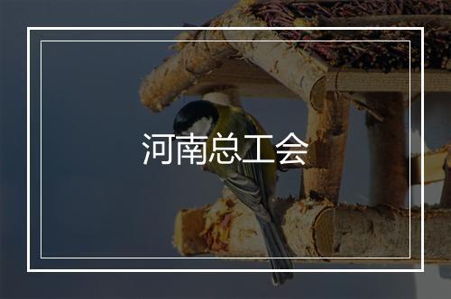 河南总工会