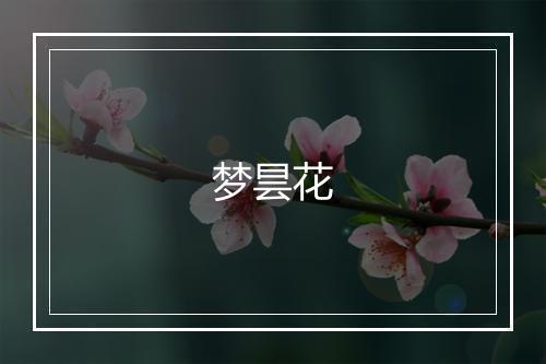 梦昙花