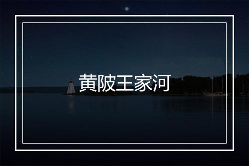 黄陂王家河