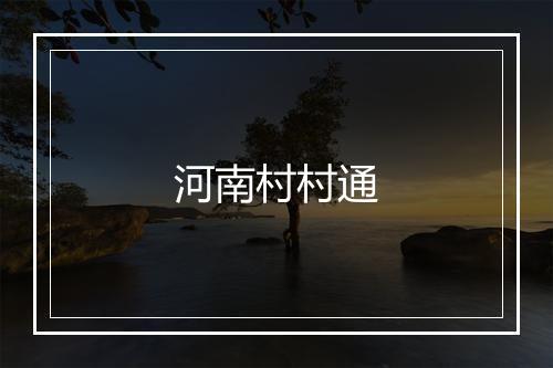 河南村村通