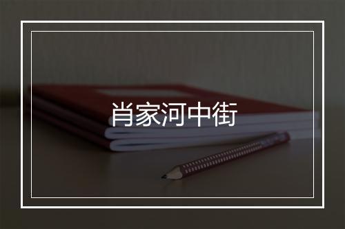 肖家河中街