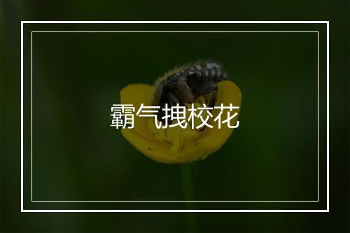 霸气拽校花