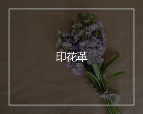 印花革