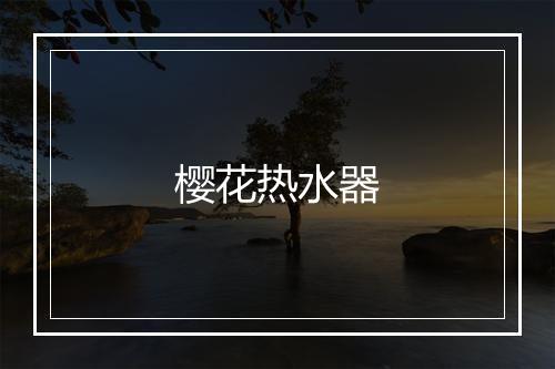 樱花热水器