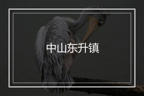 中山东升镇