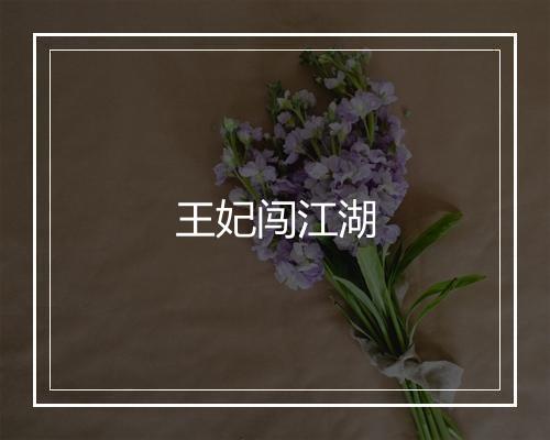 王妃闯江湖