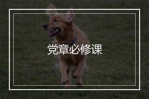 党章必修课