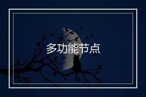 多功能节点