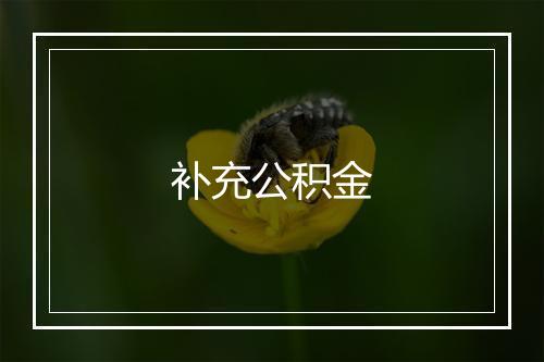 补充公积金