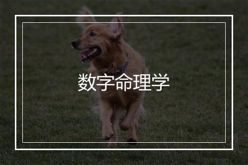 数字命理学