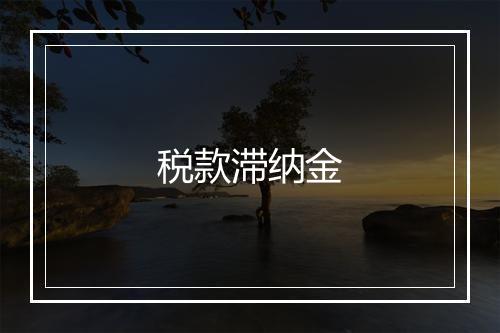 税款滞纳金