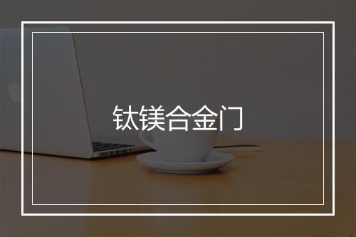 钛镁合金门