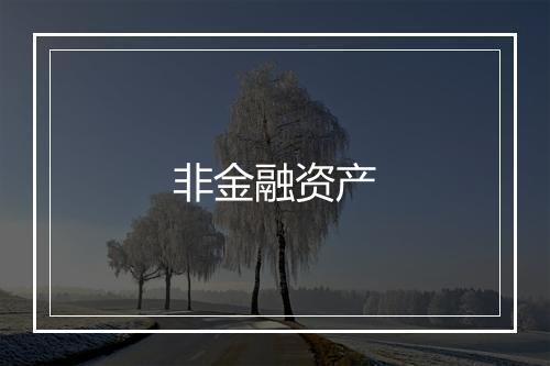 非金融资产