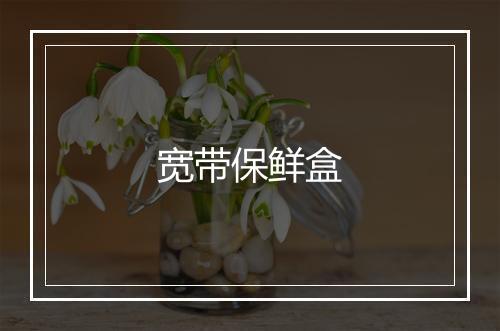 宽带保鲜盒