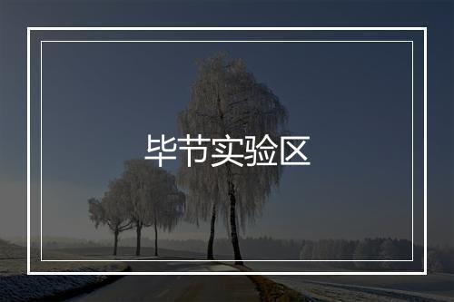 毕节实验区