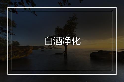 白酒净化