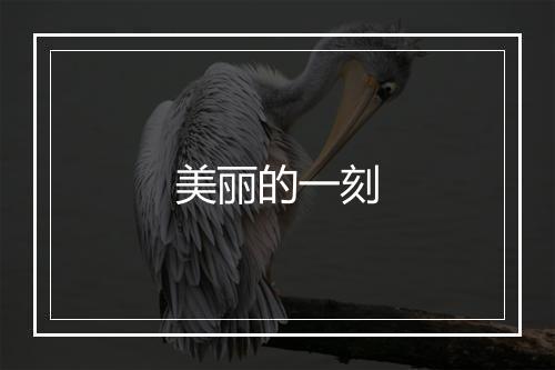 美丽的一刻