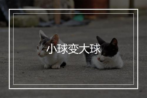 小球变大球