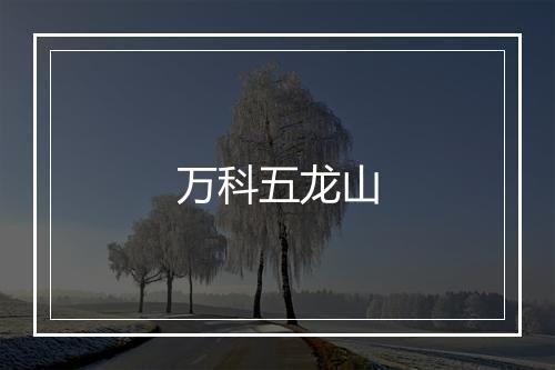 万科五龙山