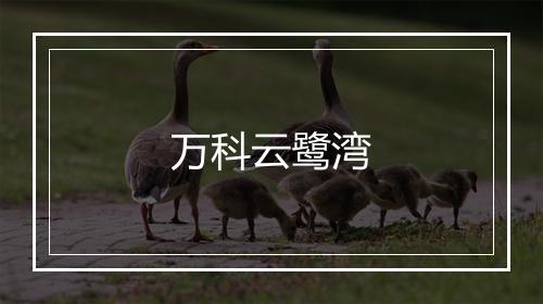 万科云鹭湾