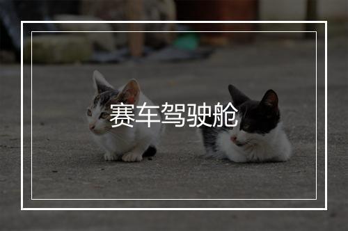 赛车驾驶舱