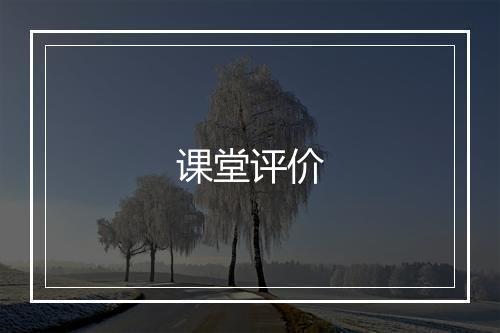 课堂评价