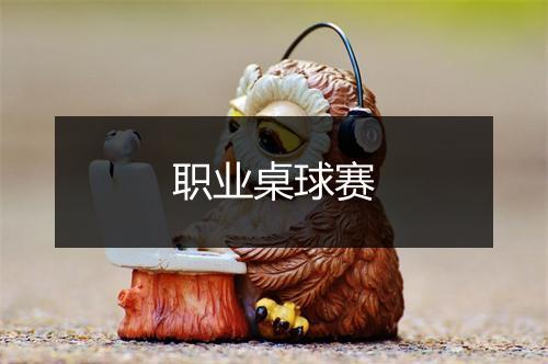 职业桌球赛