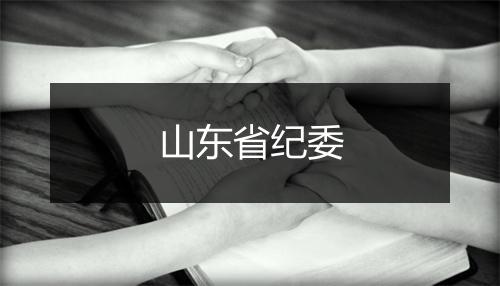 山东省纪委