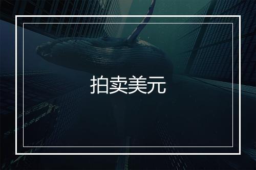 拍卖美元