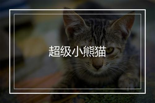 超级小熊猫