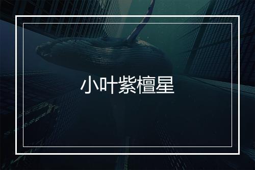 小叶紫檀星