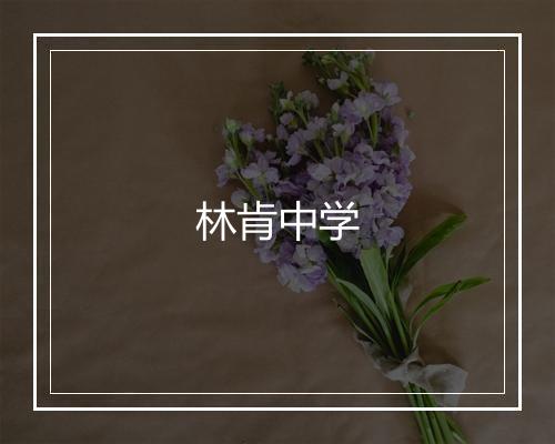 林肯中学