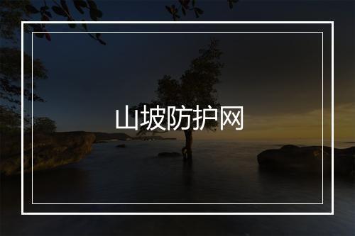 山坡防护网