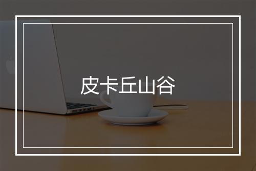 皮卡丘山谷