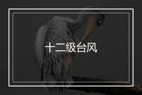 十二级台风