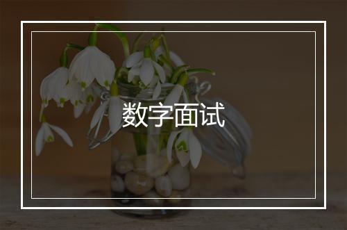 数字面试